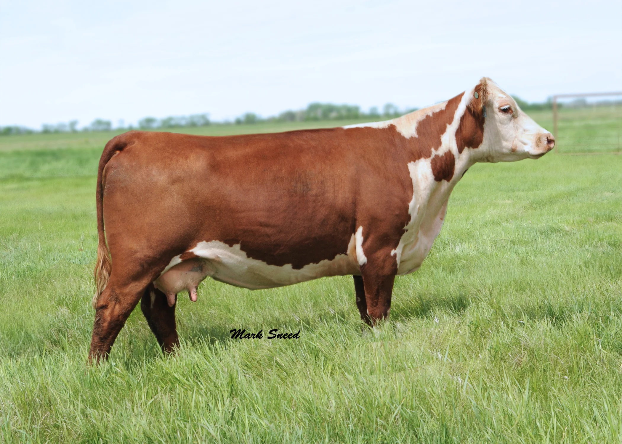 525.KBCR P606 Fairview 525.jpg