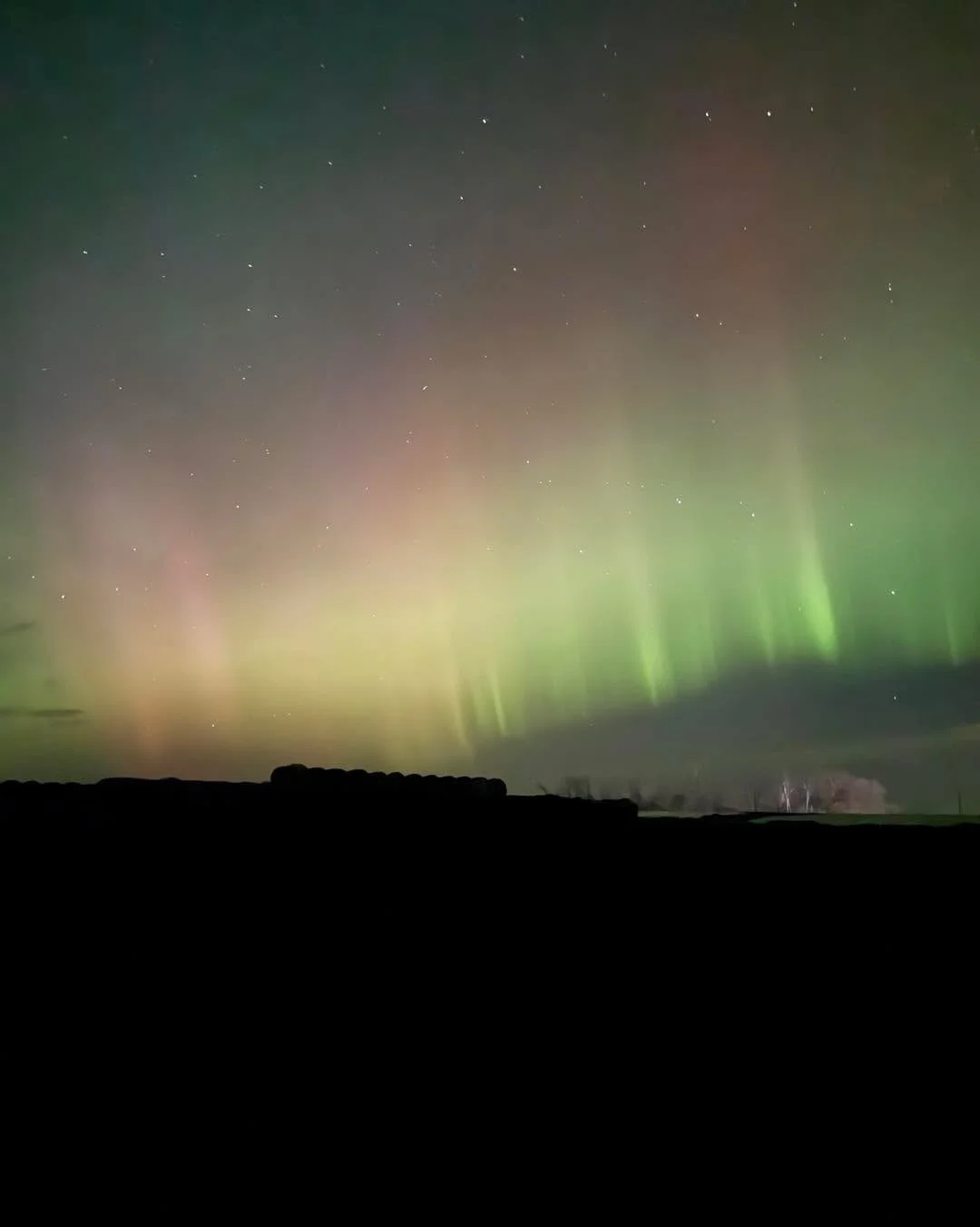 Northern lights above the feedyard tonight!

📸 : @l.a.staton