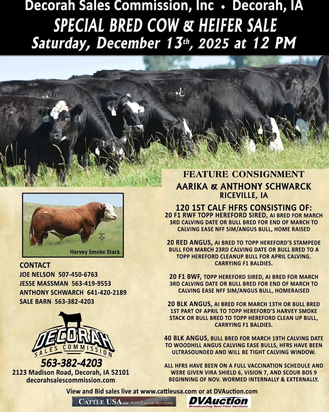 The hard to find, good kind of red angus, and AI bred Hereford. Selling in Decorah, Iowa tomorrow. For more information call the Topp Herefords office at (701)674-3152.