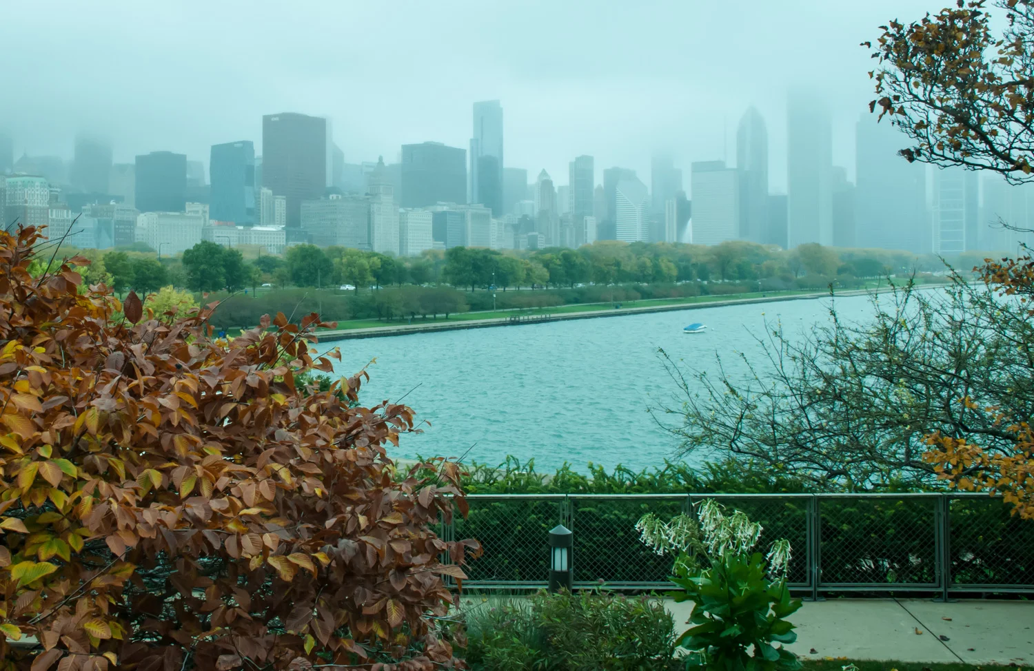 View frm the Bridge Chicago, IL