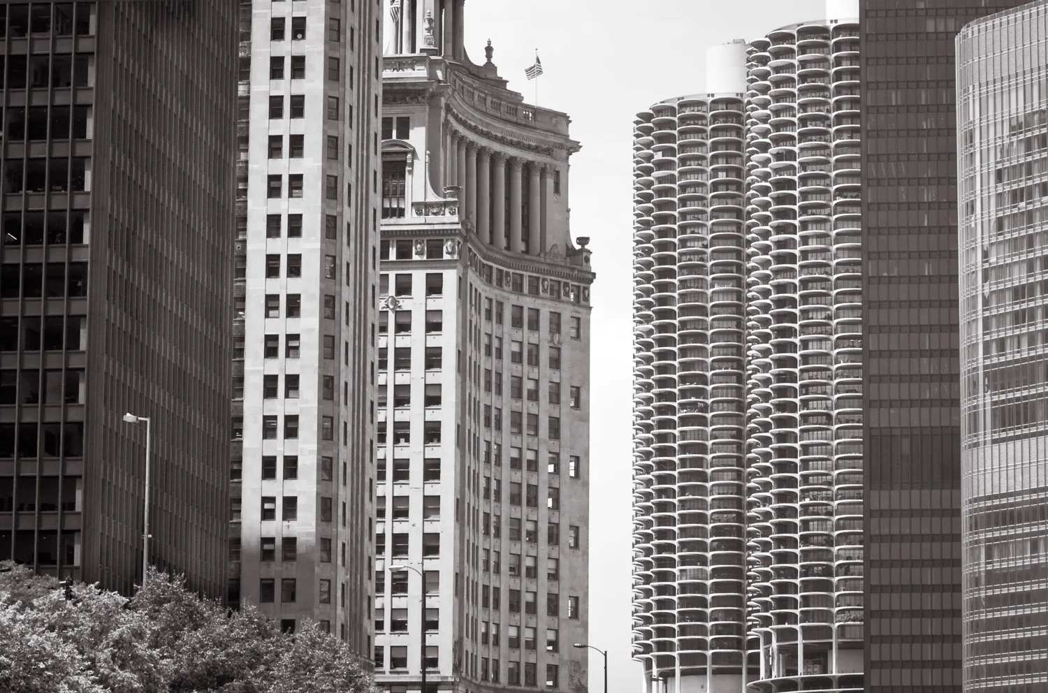Diversity Chicago, IL