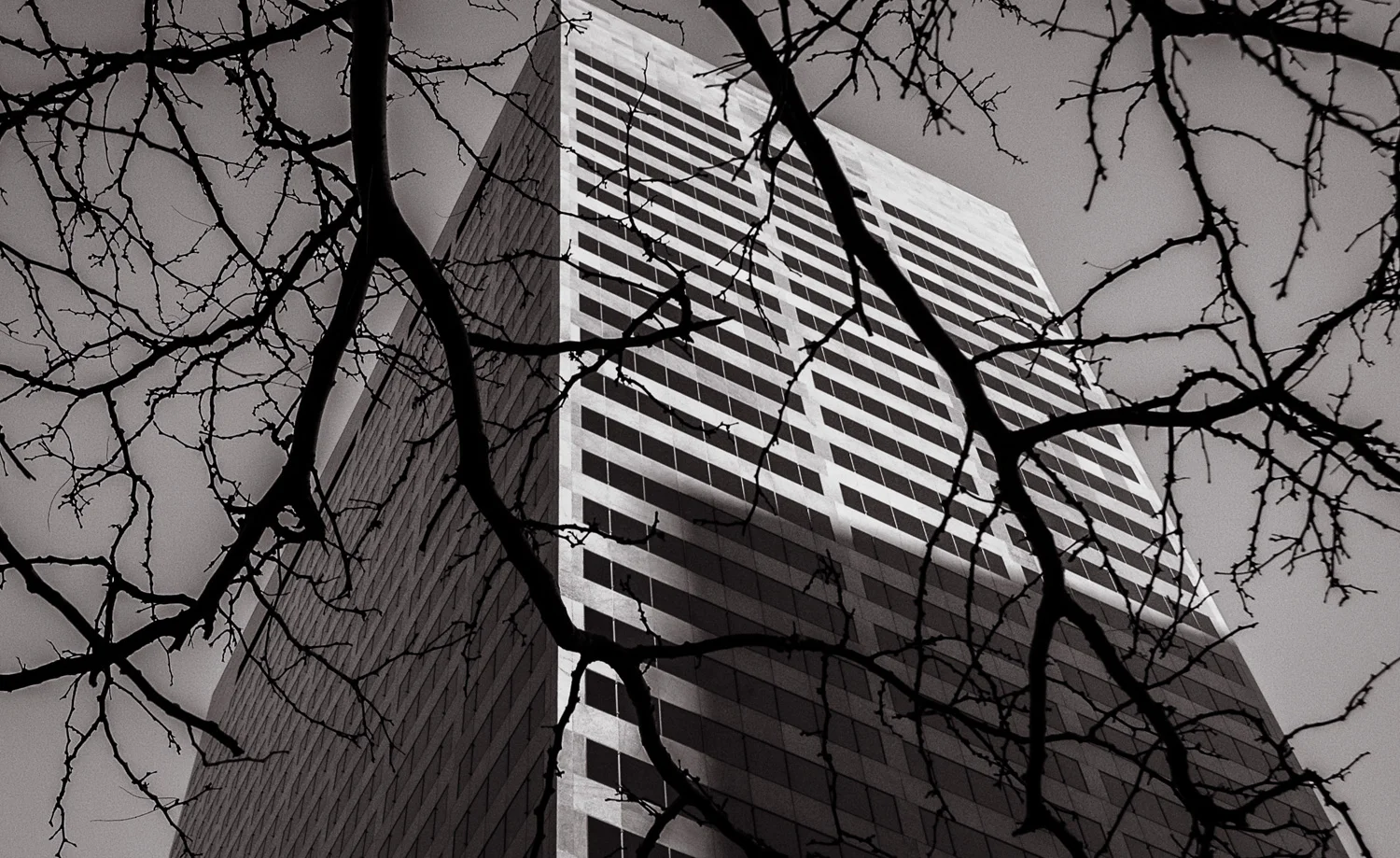 Branches Denver, CO