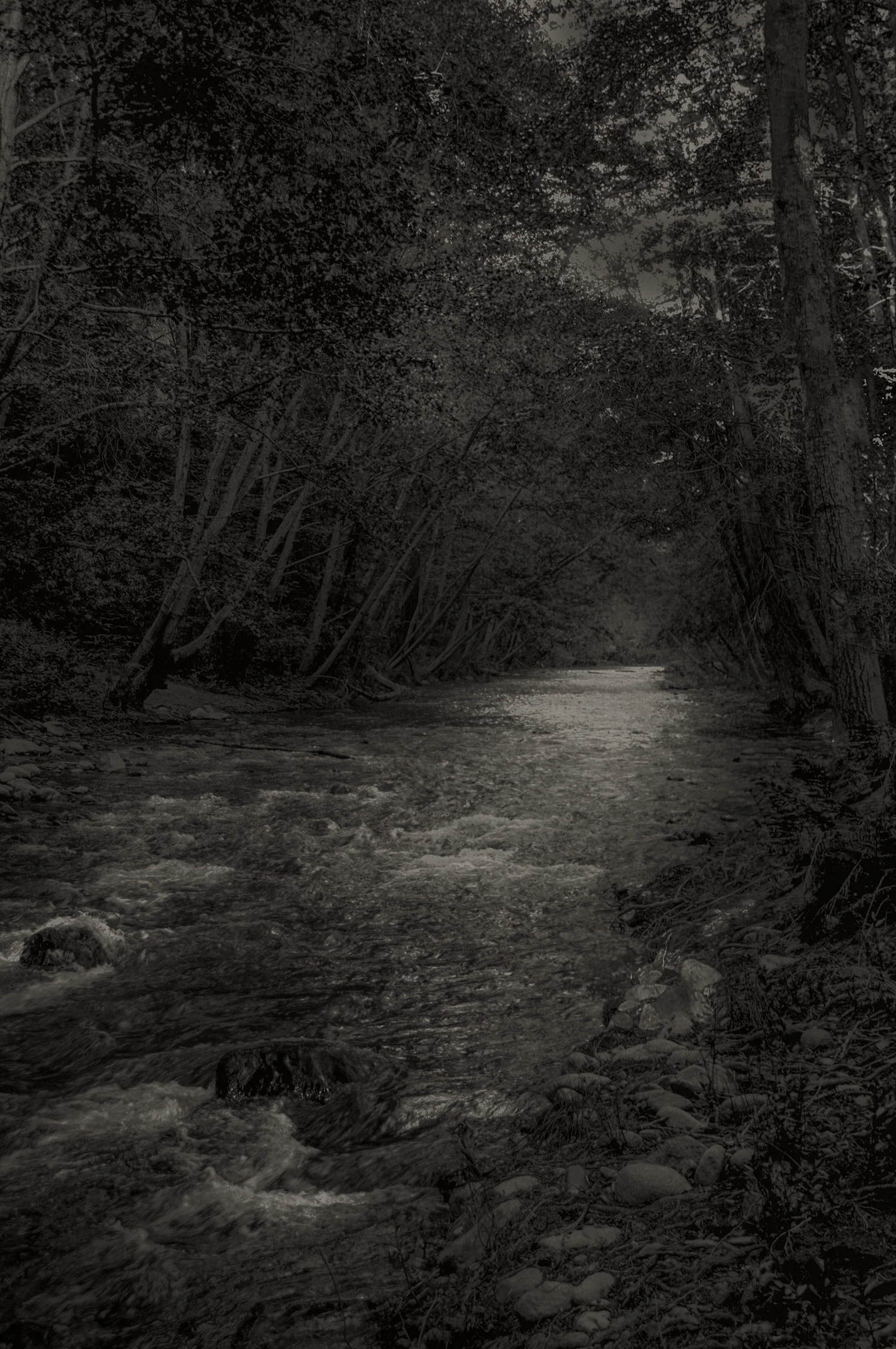 Long View Big Sur River, CA