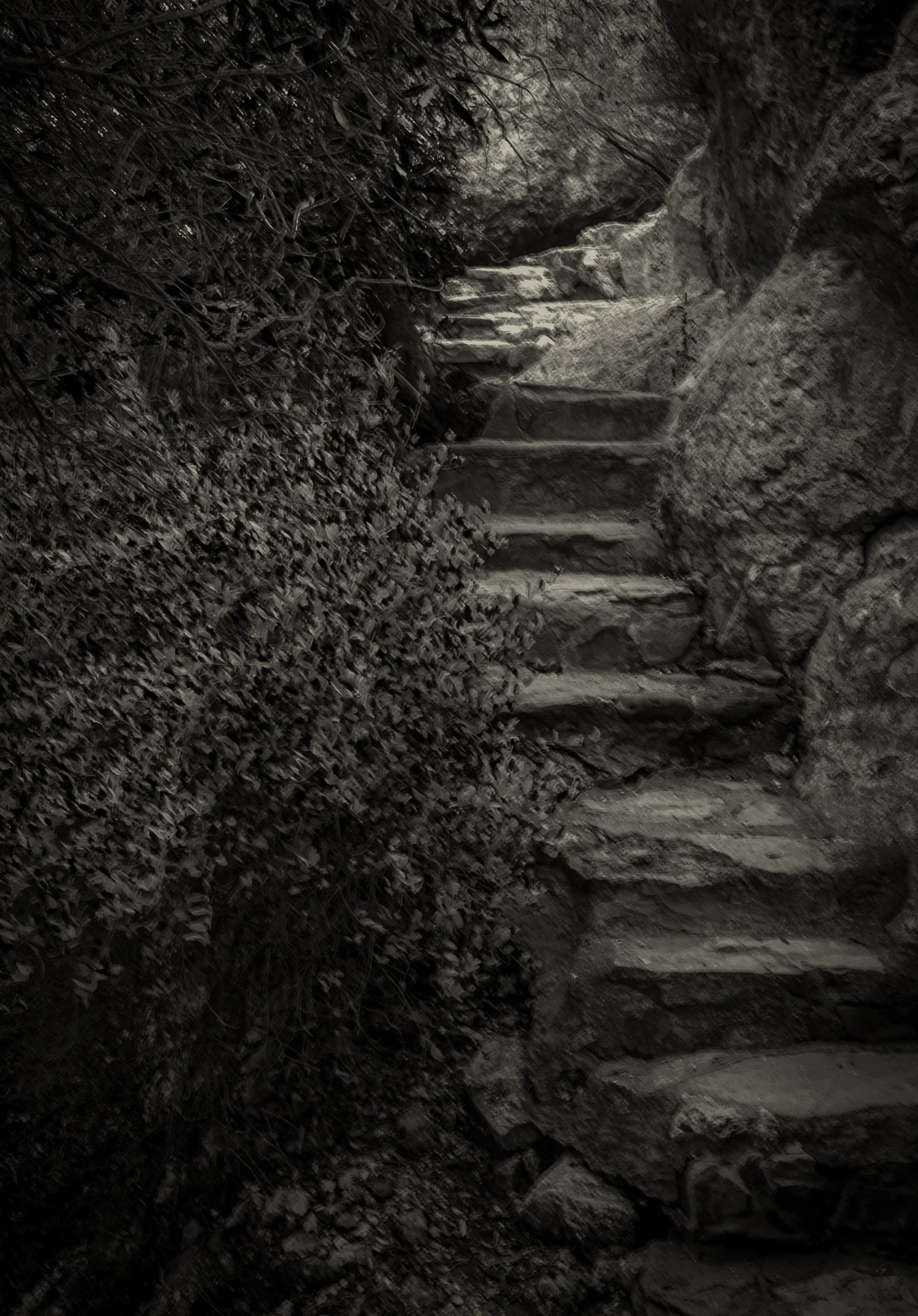 Step Up Boyce Thompson Arboretum, AZ