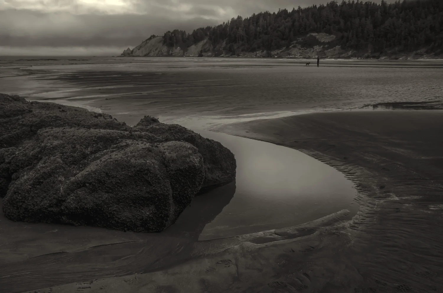 Lump Oregon Coast