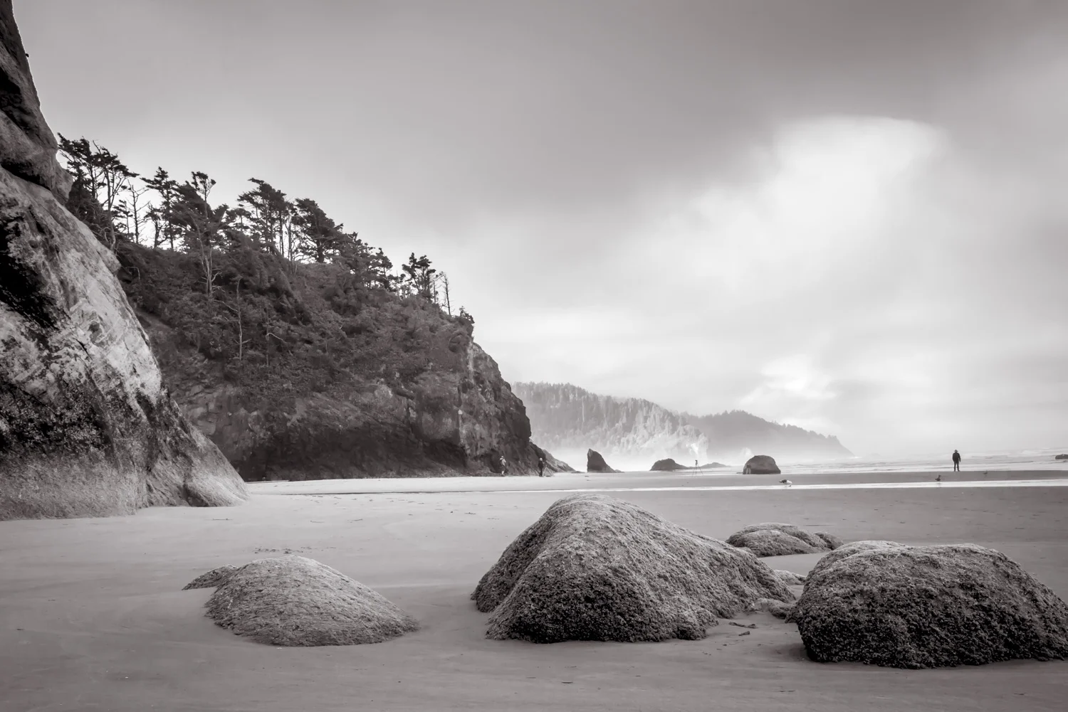 Rock Stars Oregon Coast