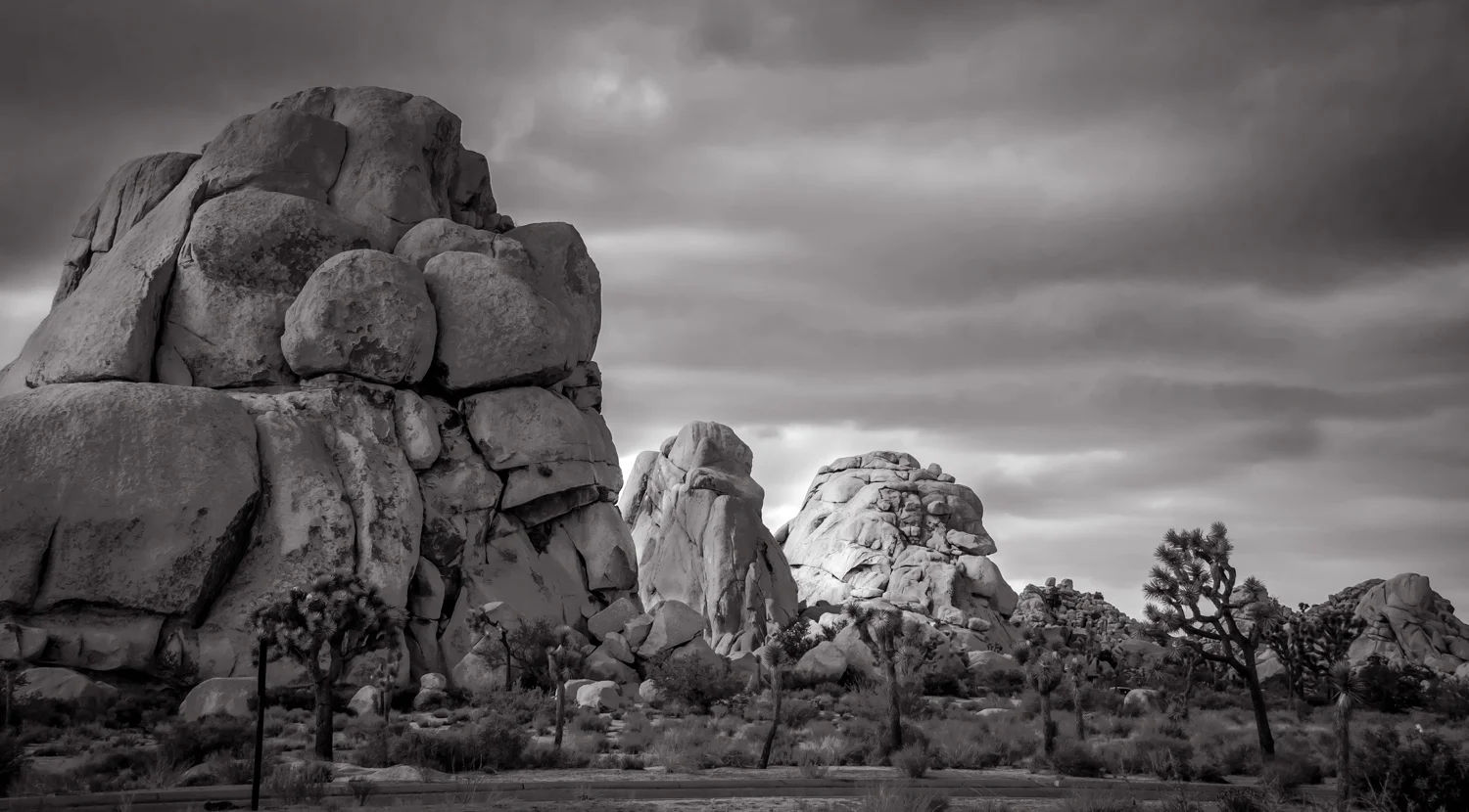 Trio Joshua Tree National Park, CA