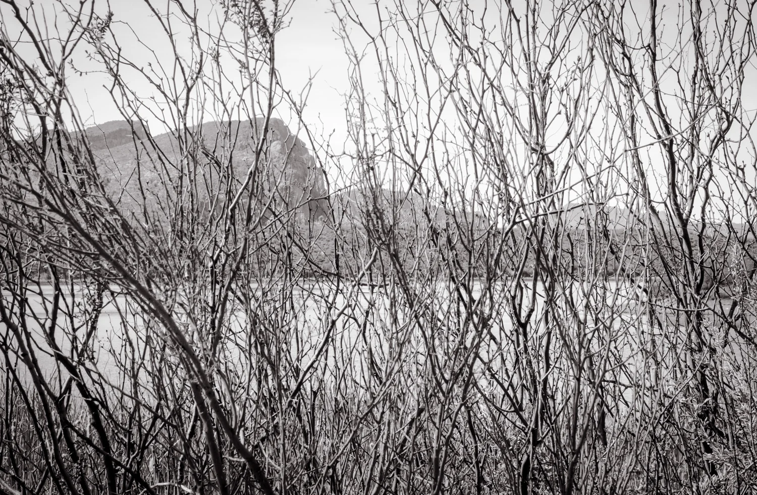 Filtered View Saguaro Lake, AZ