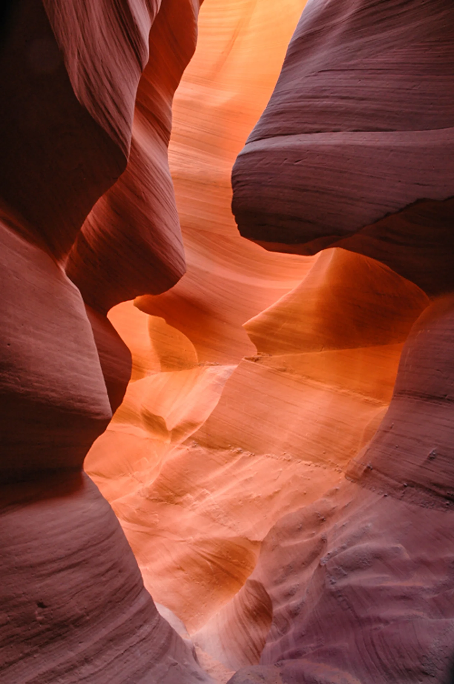 Antelope Bright Path 2007.jpg