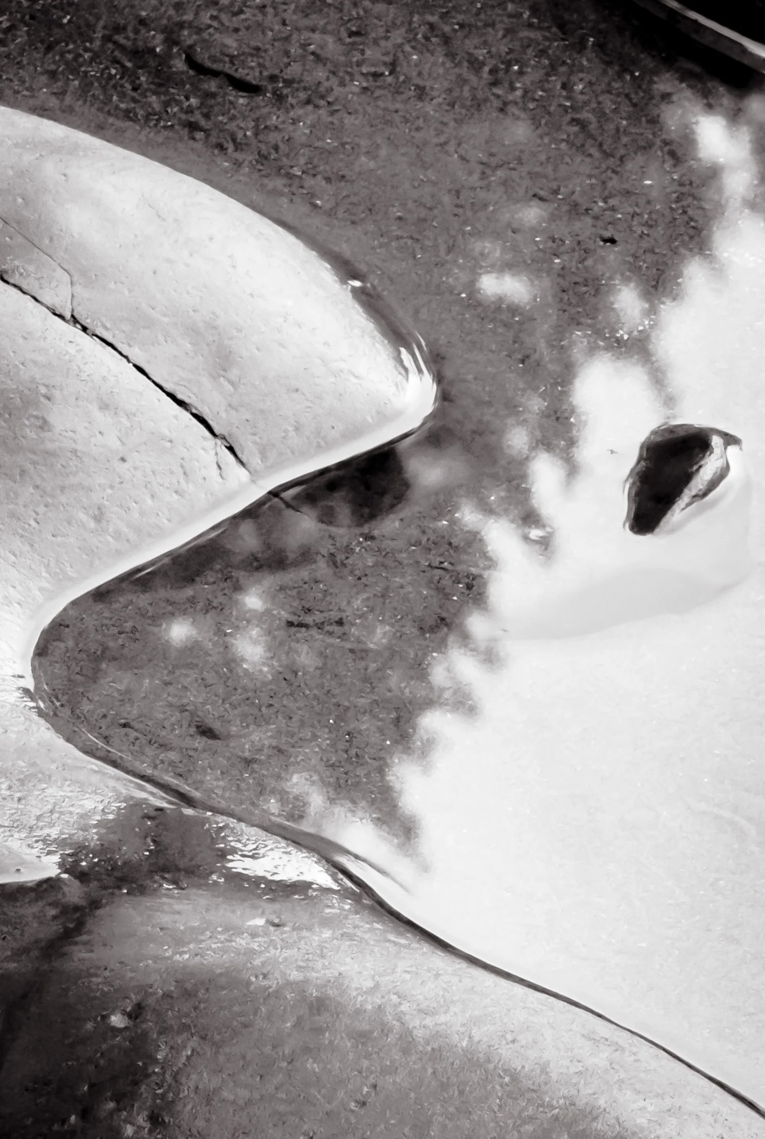 Oregon Beach Abstract2 0816-14.jpg