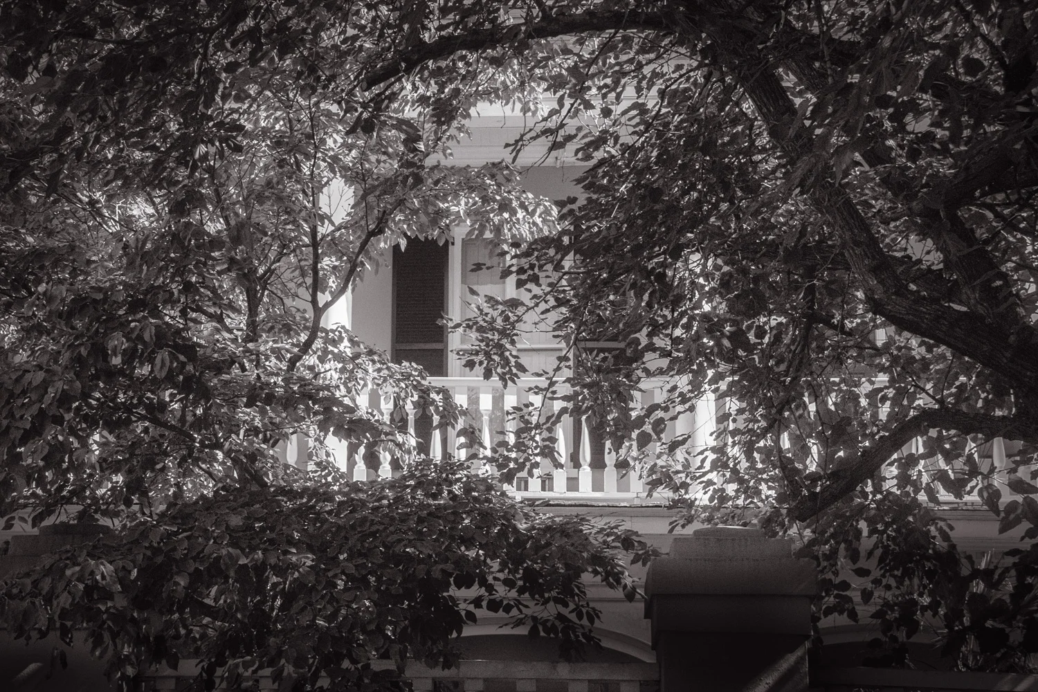 The Old Days Charleston, SC