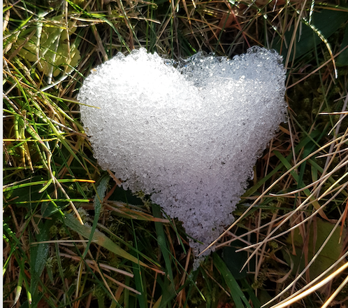 1. Dezember: Giving Tuesday