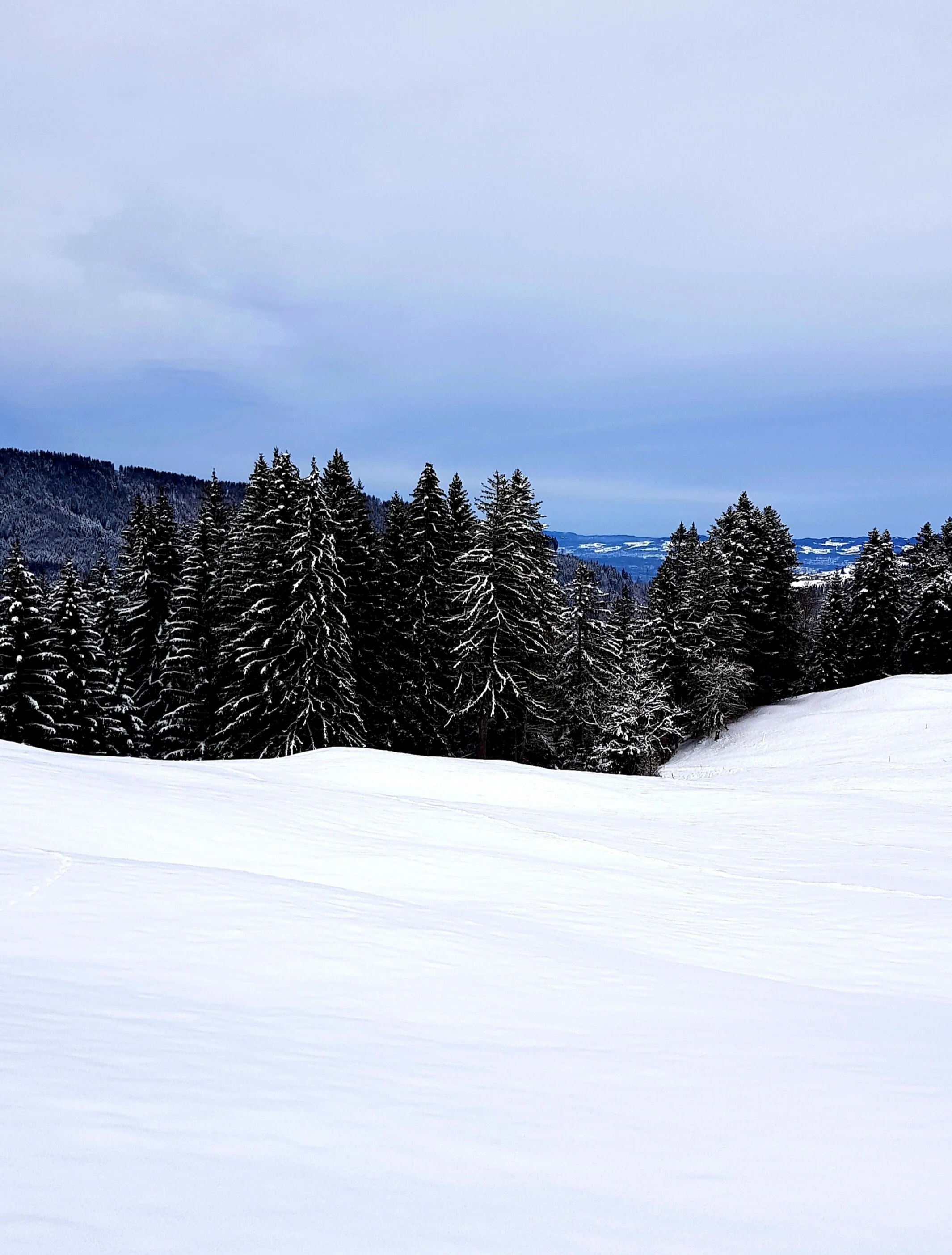 31. Dezember: Frohes neues Jahr 2021!