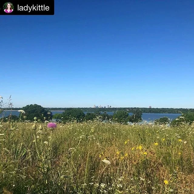 #Repost @ladykittle:
&ldquo;Danced around in a field with some socially-distant, generous movers this morning and my stagnant body and soul feel refreshed.&rdquo; Thankful for the DFW movement community, even if we are 6&rsquo; apart. If your feeling