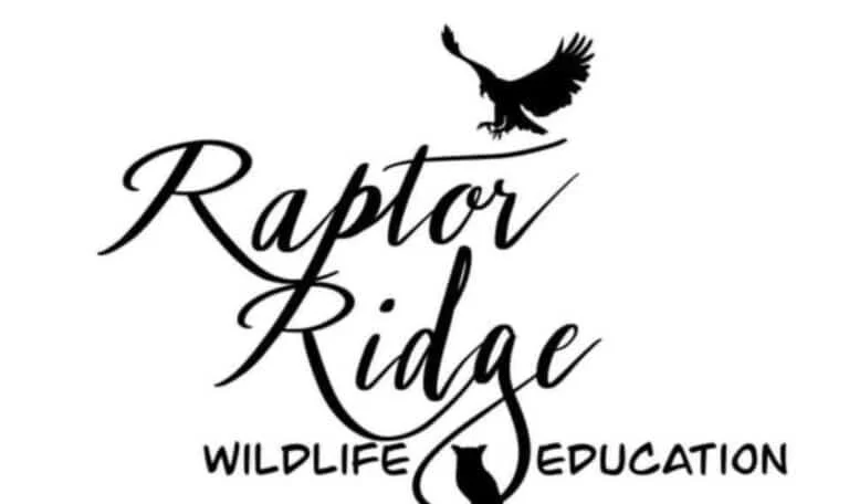 RAPTOR RIDGE WILDLIFE EDUCATION