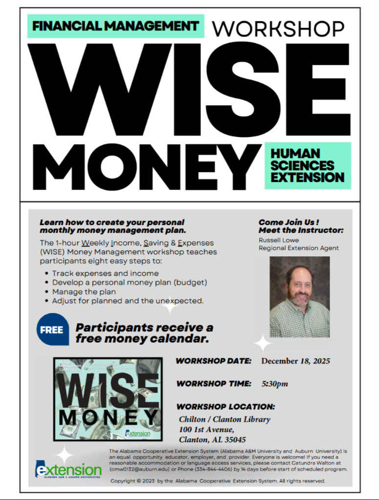 Wise Money Workshop.png