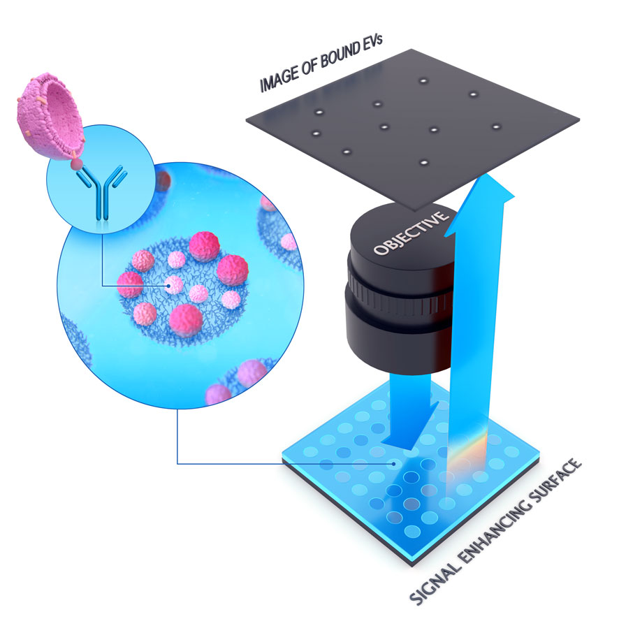 Microarray_technology.jpg