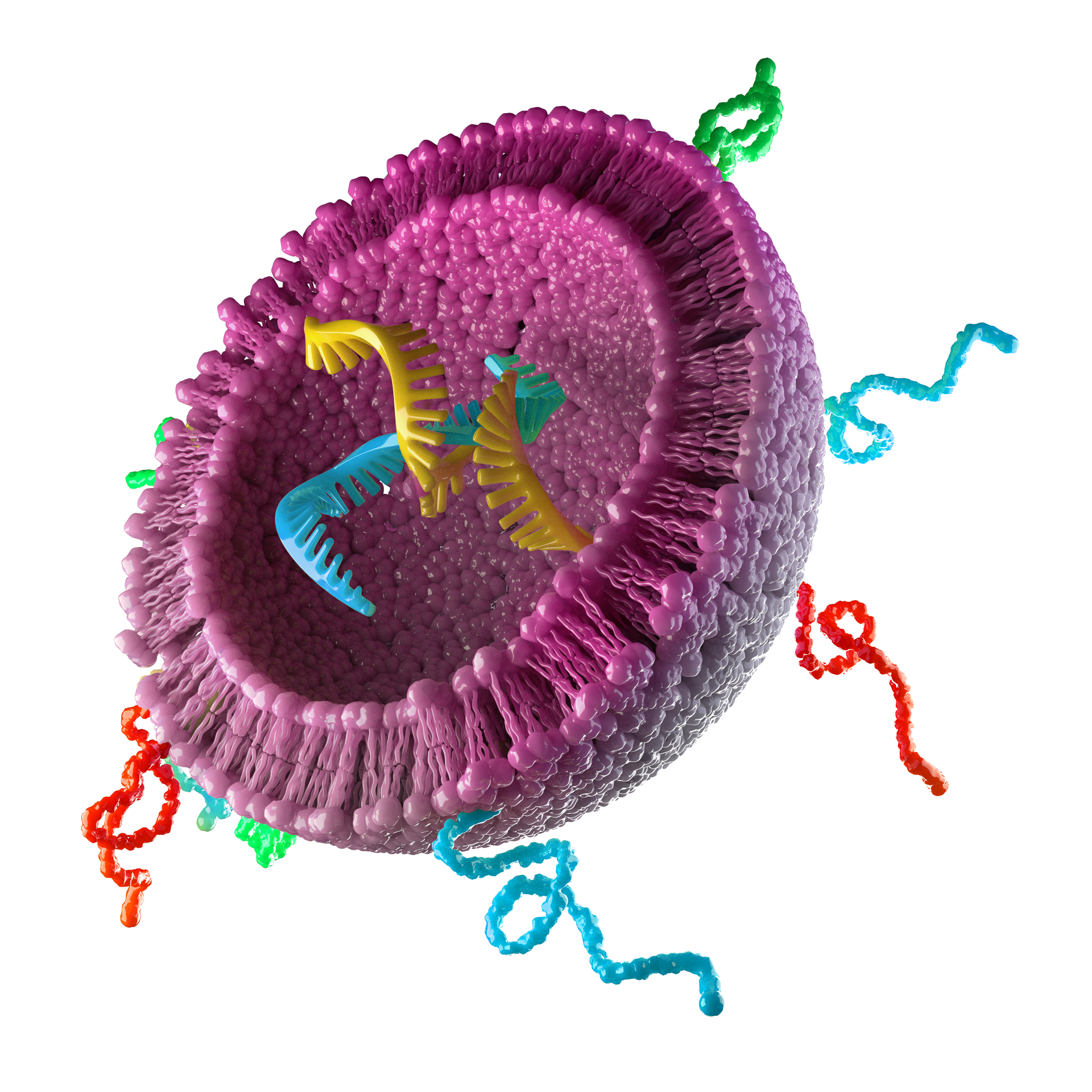 NanoView_exosome_web_res.png