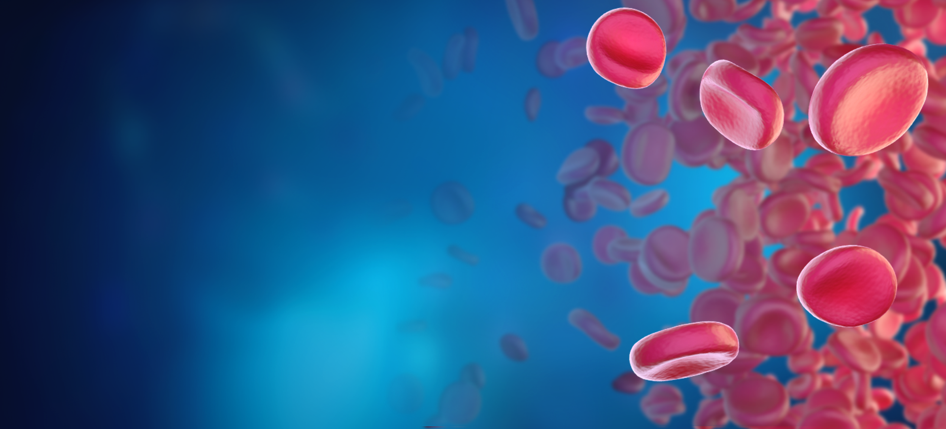 NanoView_RBC_website_banner.png