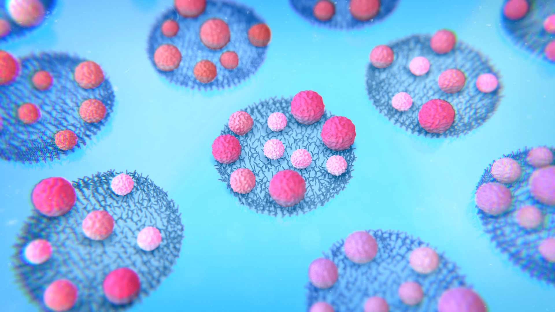 大学医院的医疗诊所和综合医院我波恩和NanoView生物科学合作研究细胞外囊泡在胆道癌。