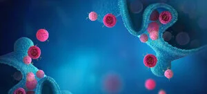 间充质干细胞(MSC)的特征提取液