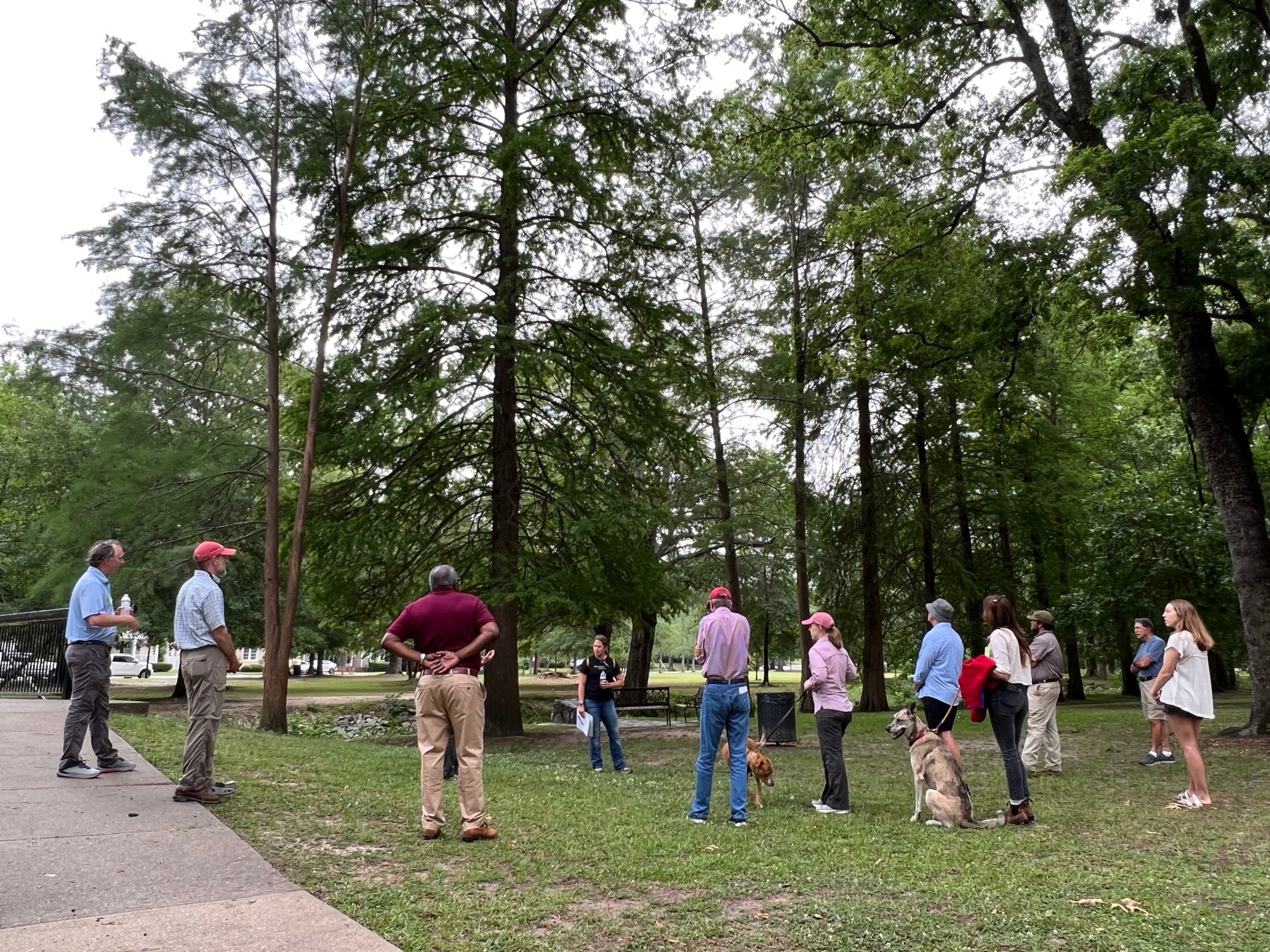 GROUP-LAKEBOTTOM-TREE-WALK.jpg