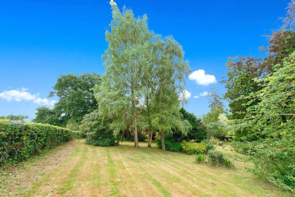 Top Lawn