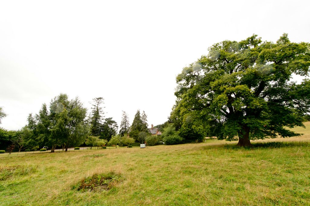 Copy of Sheep's home