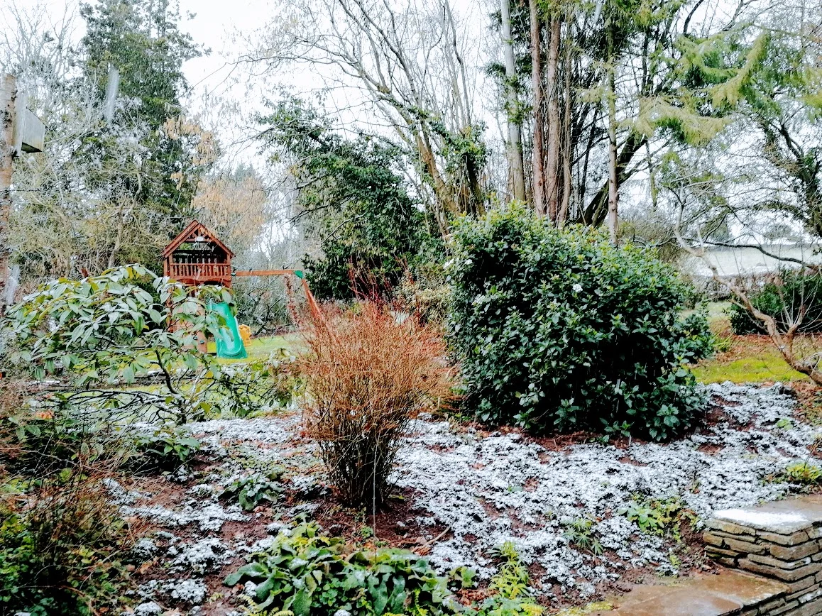 A light dusting
