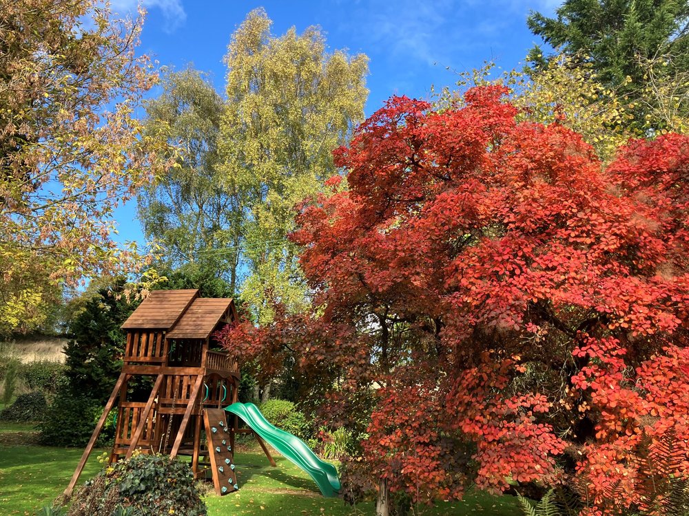 FS - Climbing Frame.jpg