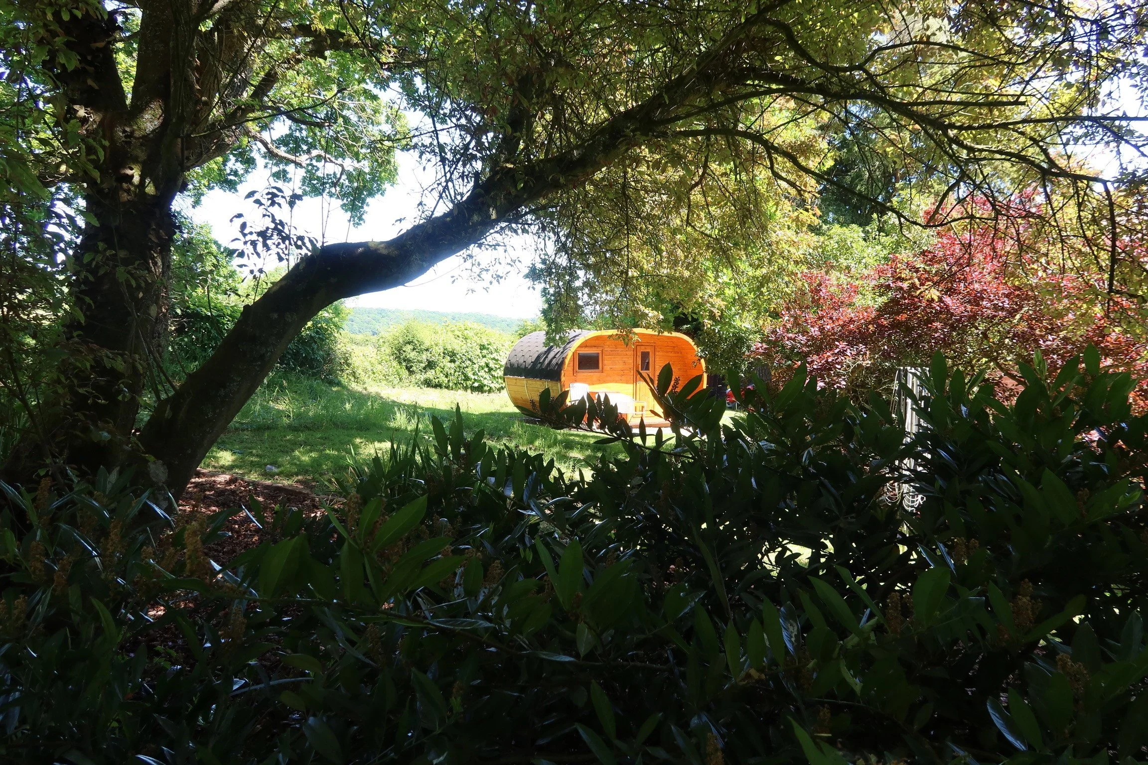 Sauna through the trees - closer.jpg