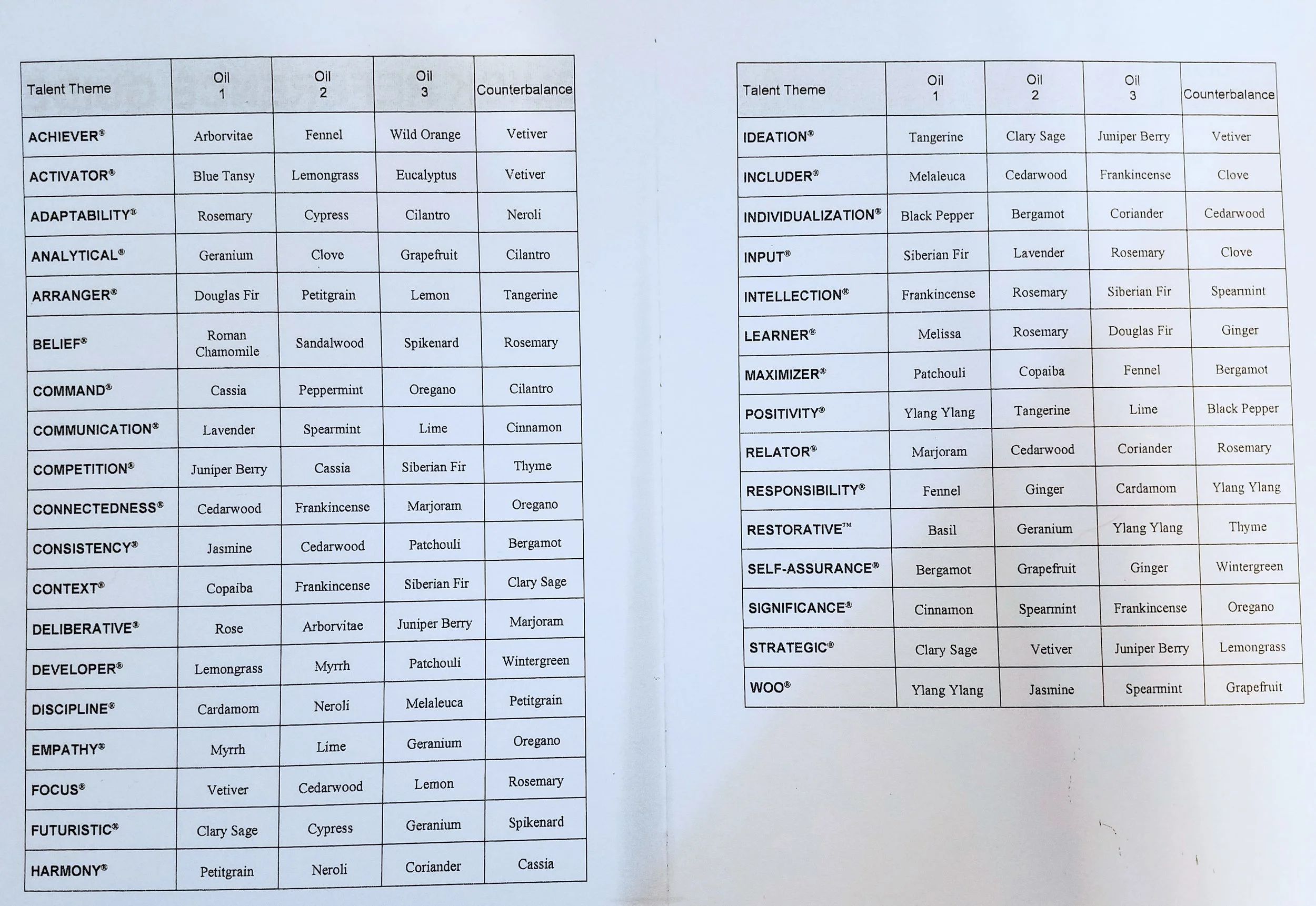 Anchor To Your Strengths Guide by Melinda Brecheisen