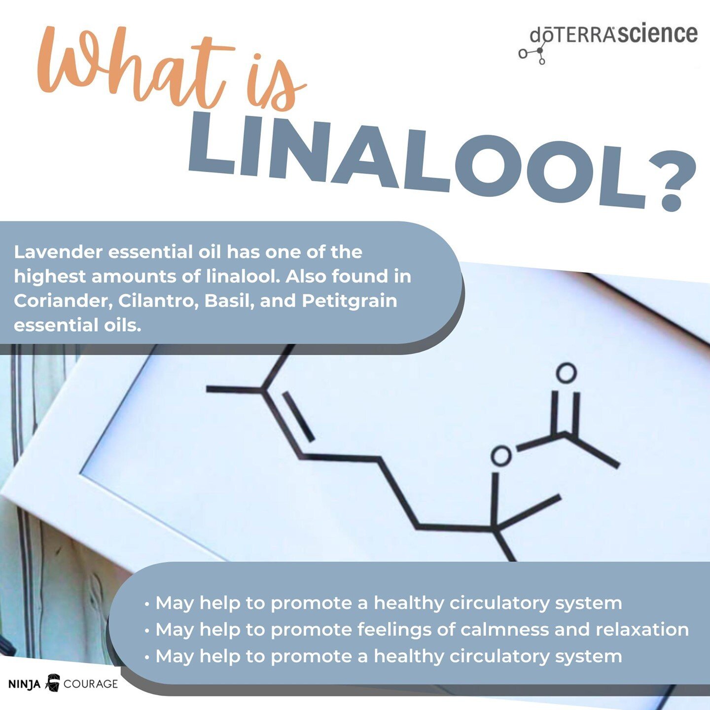 Ever wonder why exactly Lavender or Petitgrain are at the tips of everyone&rsquo;s tongue when they think about relaxing?⠀
⠀
The answer is Linalool, an amazing constituent with benefits in many of our oils. Don&rsquo;t take my word for it! Read on he