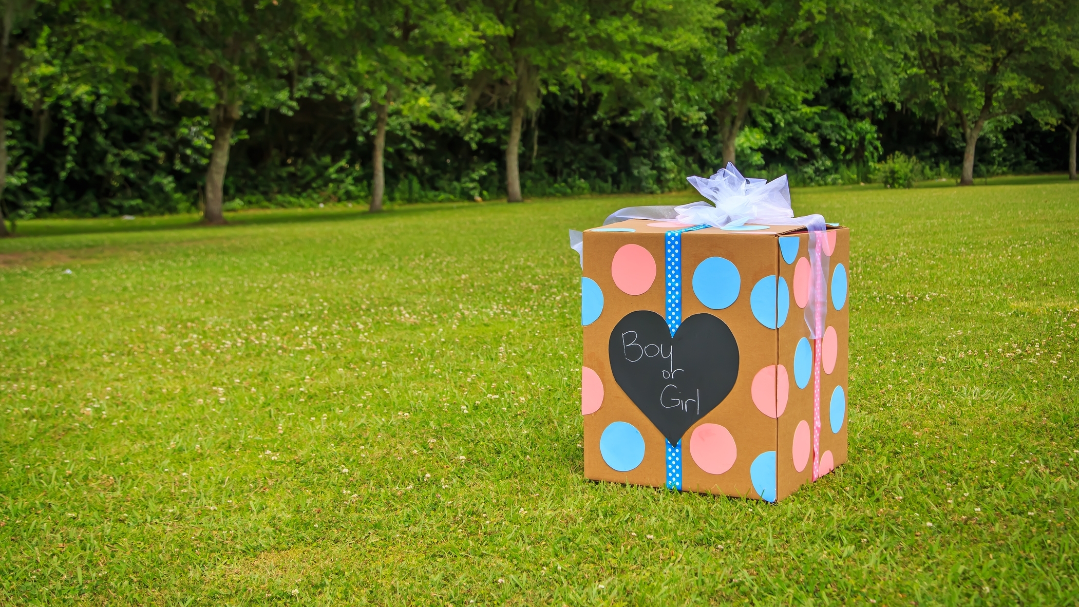 gender reveal gifts with lab grown diamonds