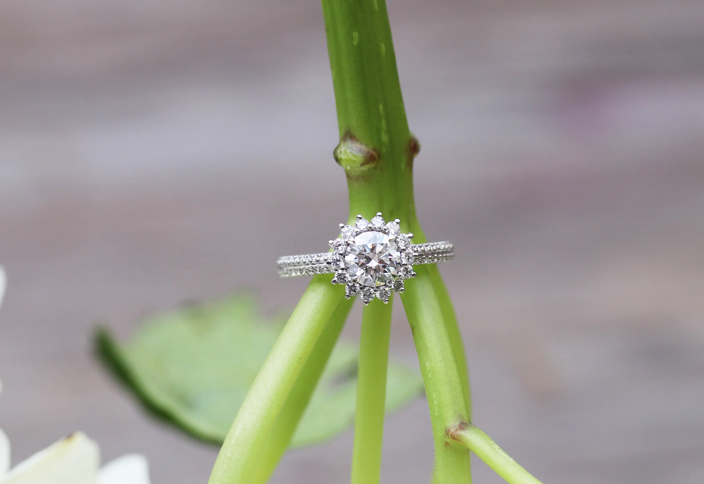 lab-diamond-enagement-ring-halo-split-band-AD116-p.jpg