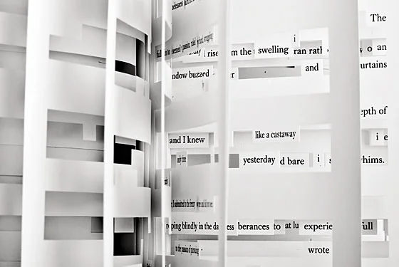 safranfoer101129_560.jpg