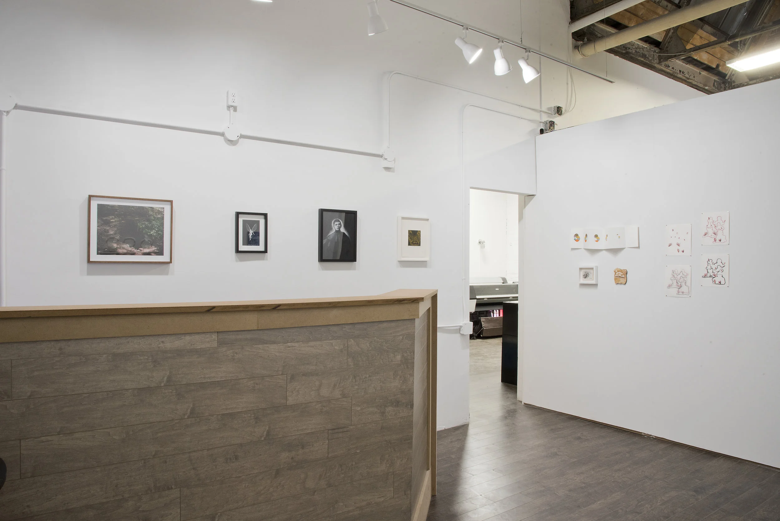 DHP_PHAT2018ArtFundraiser.jpg