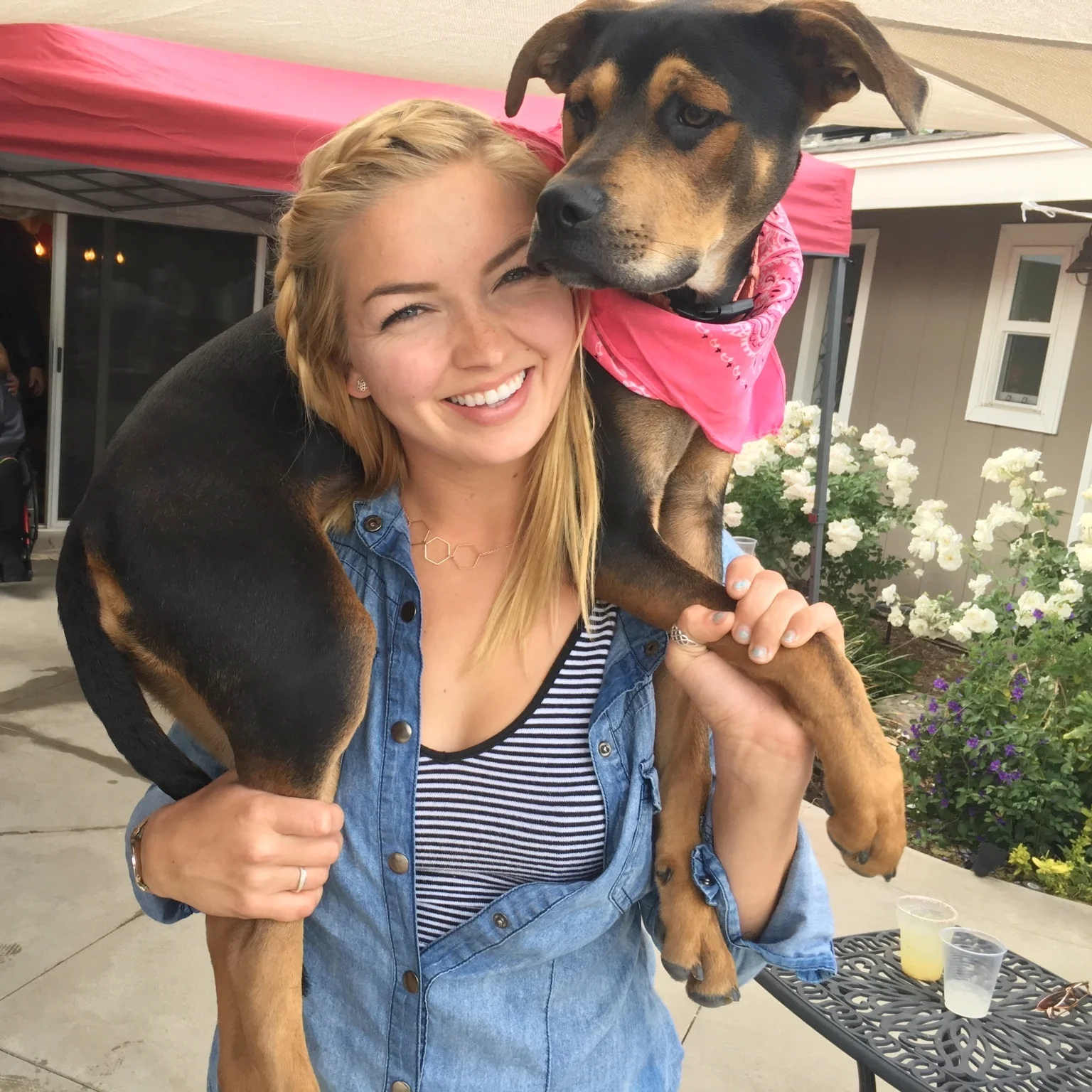 Our Team — OC Lucky Dogs