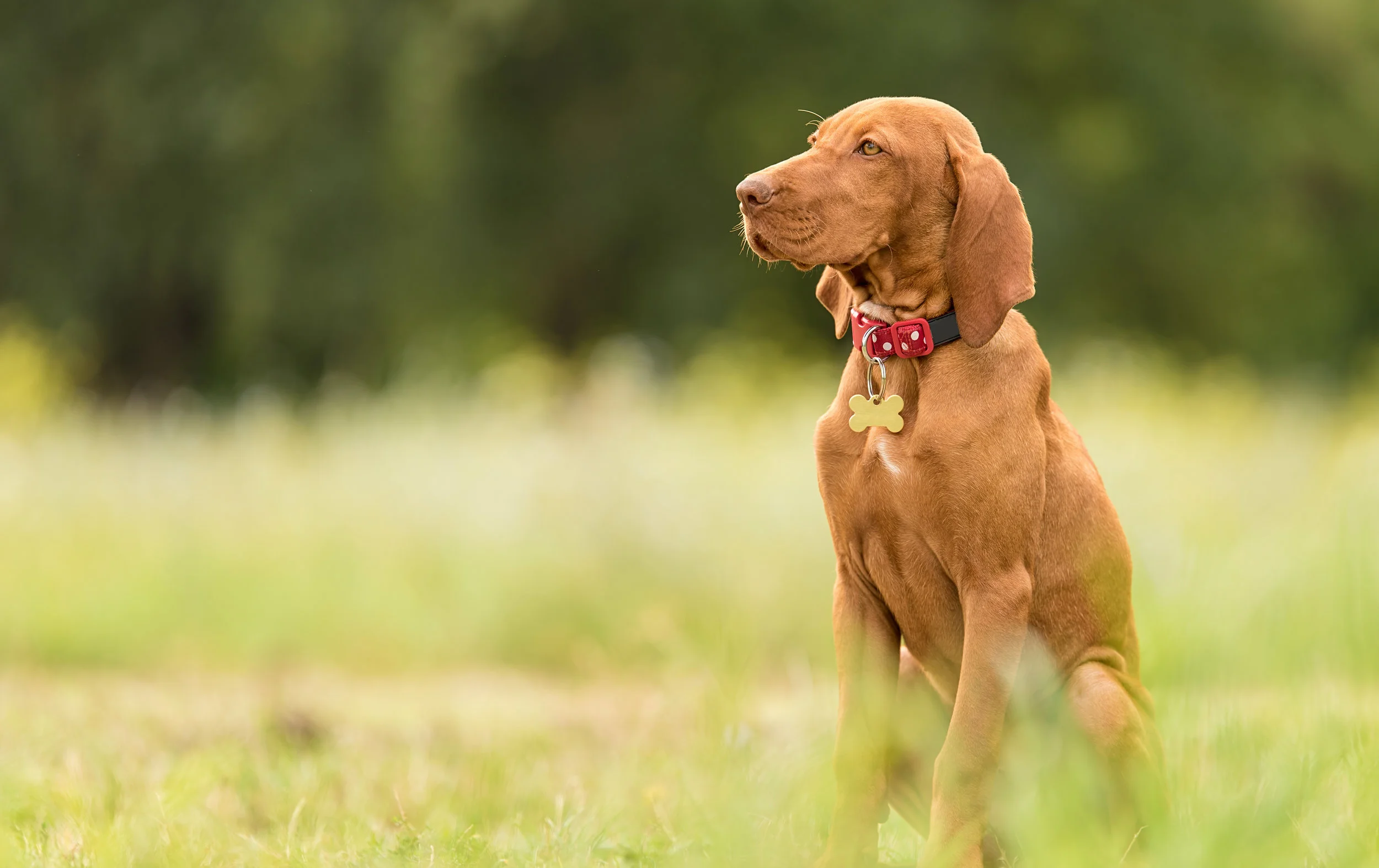 AdobeStock_168610642.jpeg