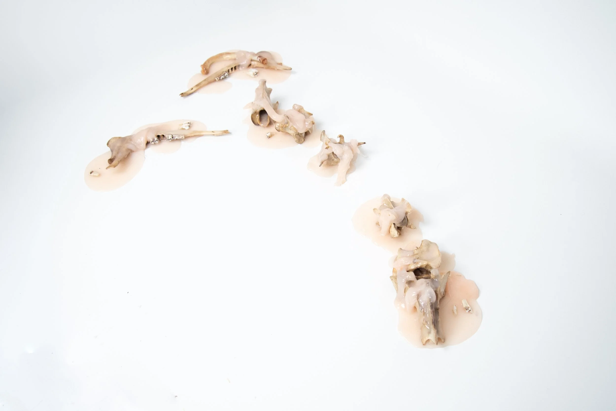 Were Not the Same Any Longer Are We.jpeg