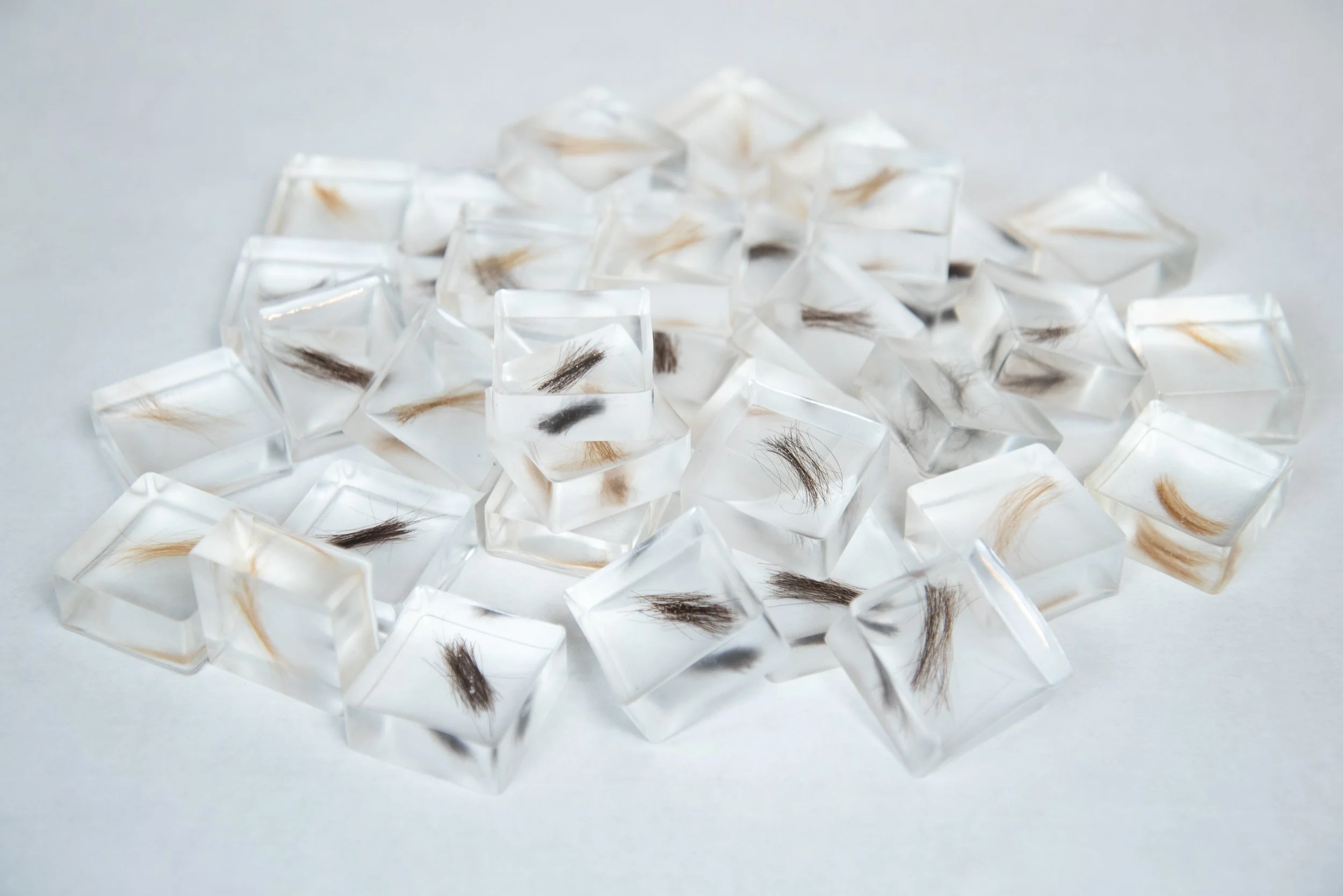 2025_Memory Cards-9.jpg