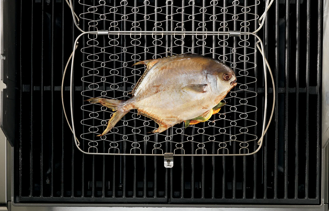 WEBER-REJILLAPESCADO_6471E12s.jpg