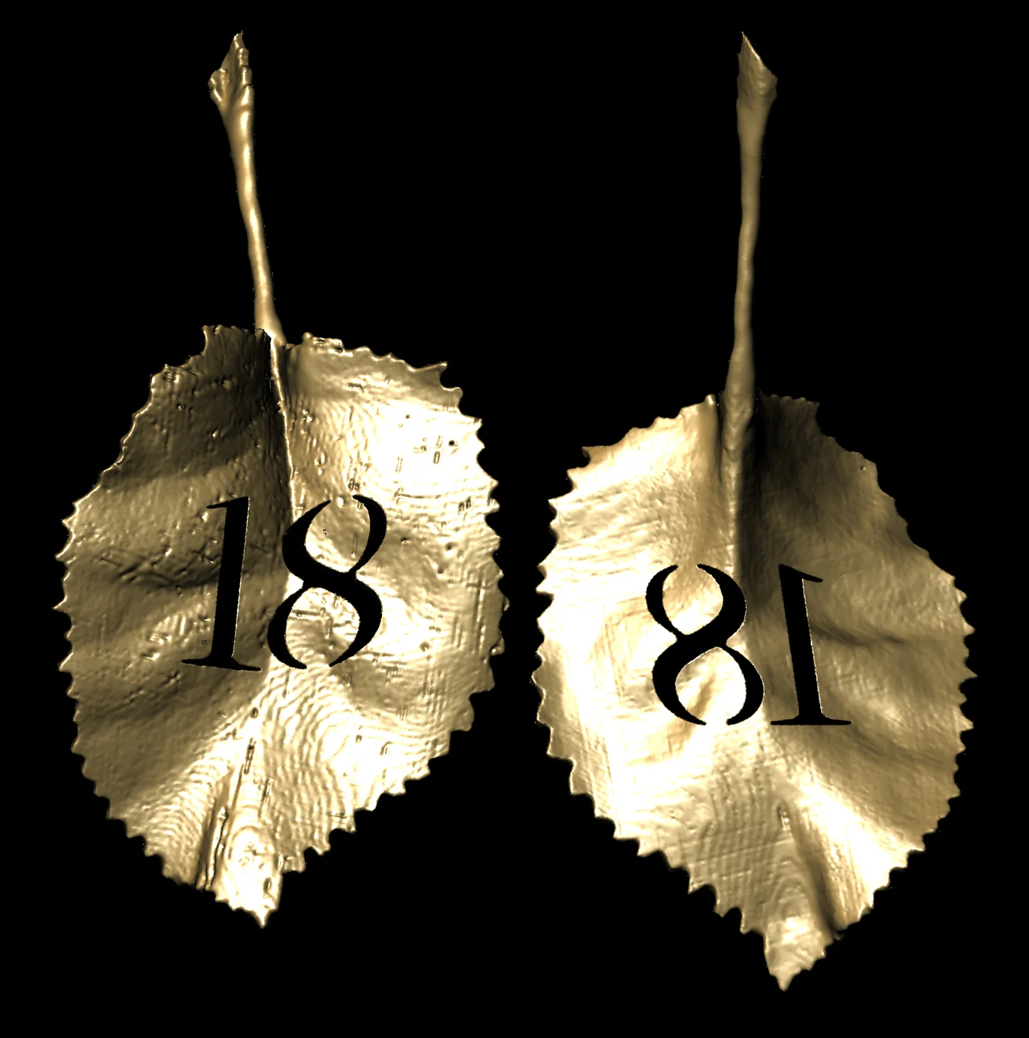 front and back views