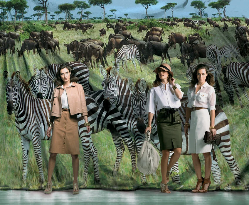 Safari_after.jpg