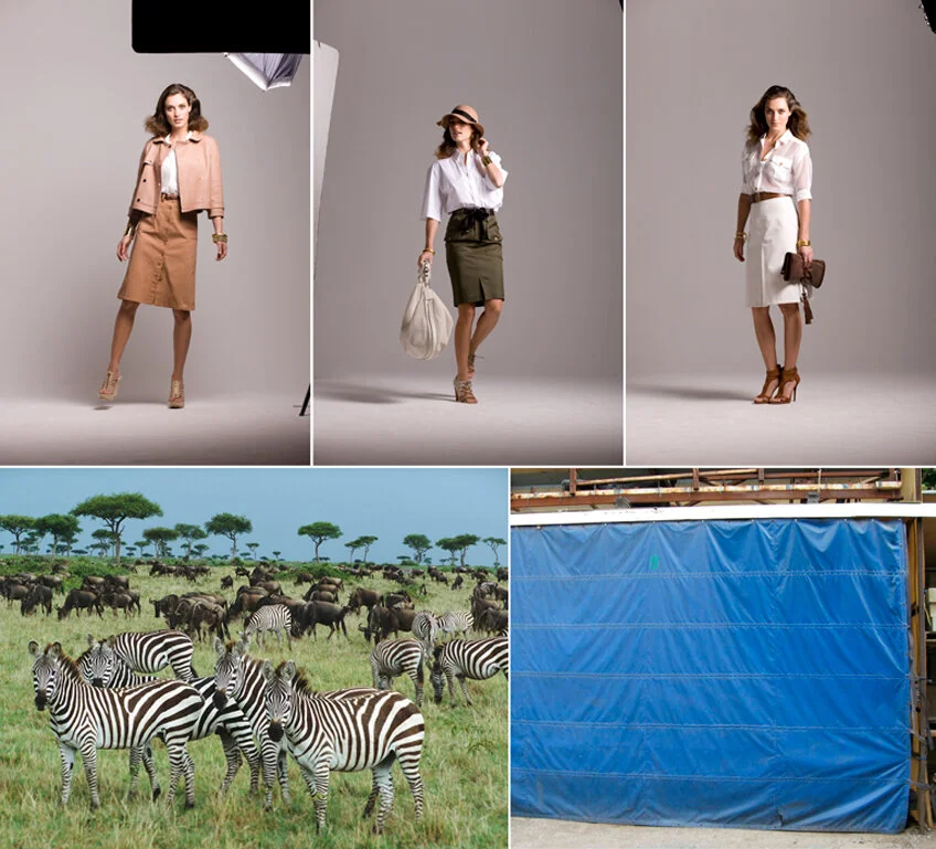 Safari_before.jpg