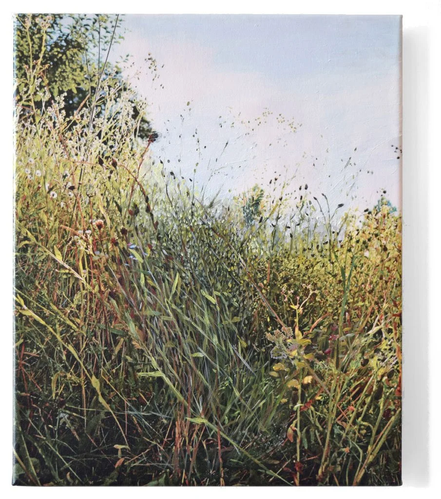 Exercises in Rewilding 03 / Marc Jacobs Daisy 05 / 2016