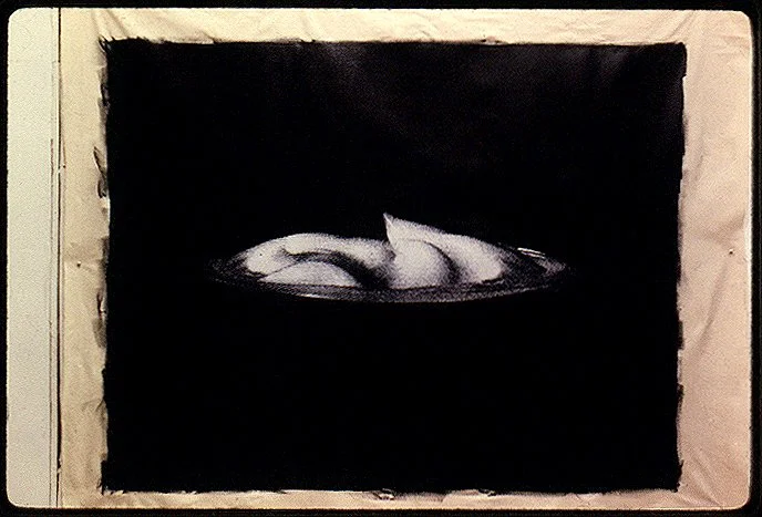  Cream 3 / 1994 / 56" x 70" / C-print, acrylic on canvas 