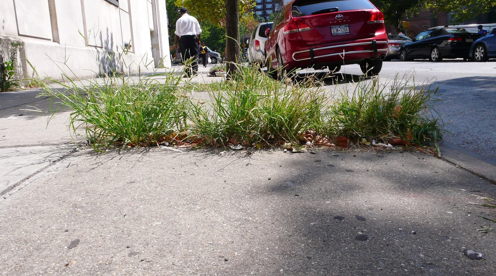 28th_st_sidewalk02.jpg