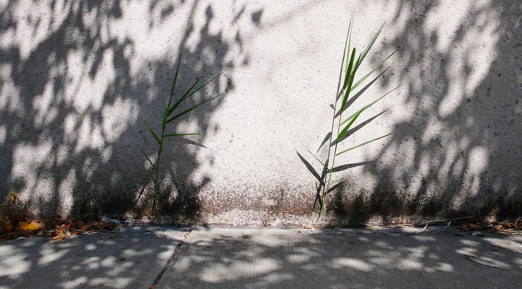 28th_st_sidewalk04.jpg