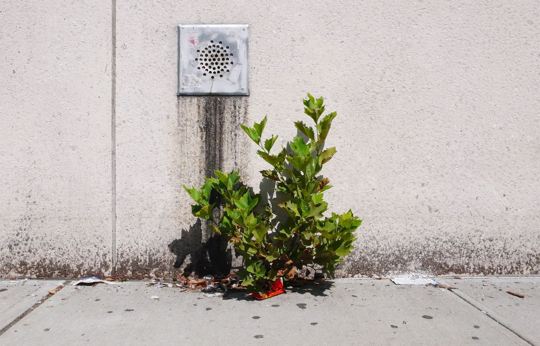 28th_st_sidewalk05.jpg